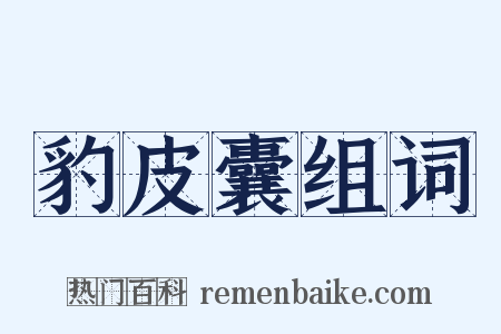 豹皮囊组词是什么意思的图片